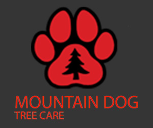 mountain dog tree care 300x250